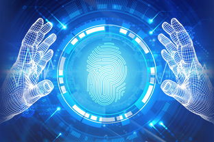 網(wǎng)絡科技領域內的技術開發(fā)與法律規(guī)制